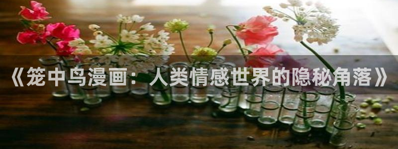 51漫画在线看免费