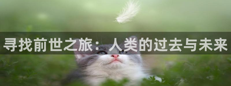 51漫画网站永久入口